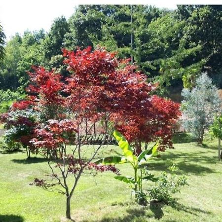 코스티글리올살루초 Istanti - Salvia 아파트 외부 사진