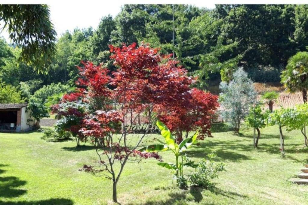 코스티글리올살루초 Istanti - Salvia 아파트 외부 사진